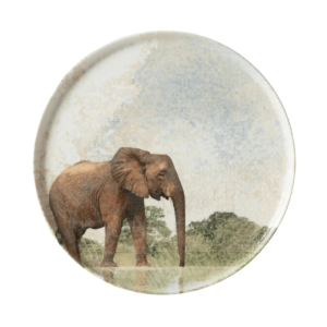 PJATE RRETHORE WILD 26CM