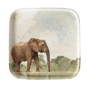 PJATE KATRORE WILD ME ELEFANT 22CM